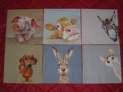 Servietten set - 6, ~