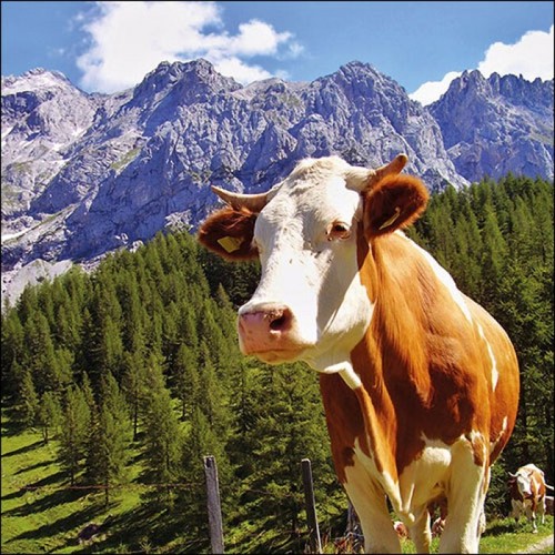 Ambiente servietten kuh alpen - servietten,